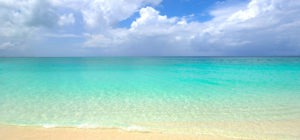 Beach View