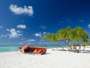 Beached Boat